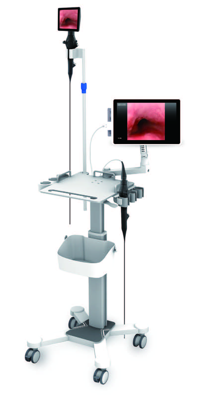 Smart VET-Endo System